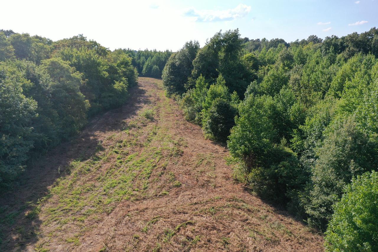 51.34 ACRES IN 1 TRACT IN CUNNINGHAM KY