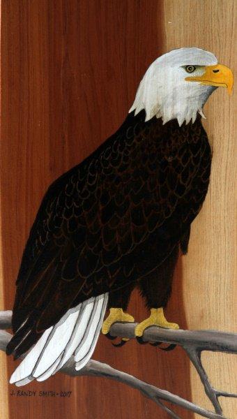 23 INCH AMERICAN BALD EAGLE ON CEDAR ART PIECE