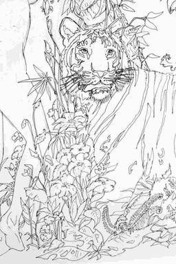 ORIGINAL CHRISTAIN LASSEN ENCHANTED JUNGLE SKETCH