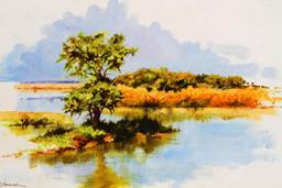 DHARBINDER S BAMRHA WILDLIFE PAINTING LANDSCAPE