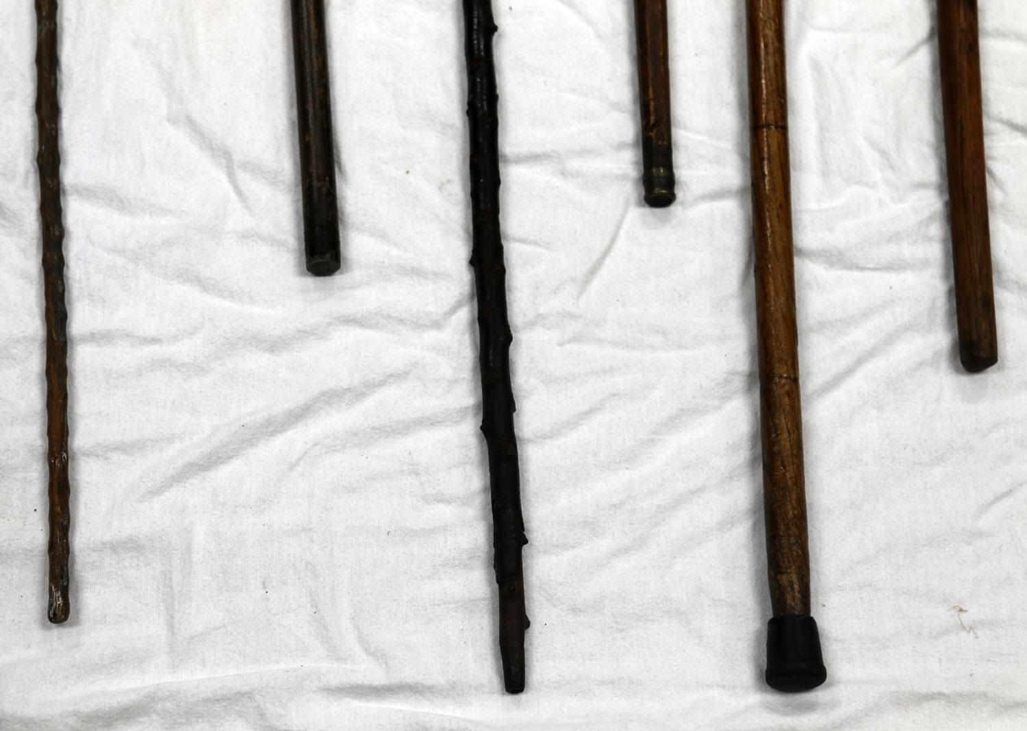 COLLECTION OF 8 ANTIQUE PRIMITIVE WALKING CANES