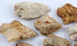 LOT OF 12 ARROWHEADS SURFACE FINDS CHIPOLA RIVER