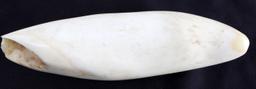 SCRIMSHAW READY RAW POLISHED WHALE TOOTH