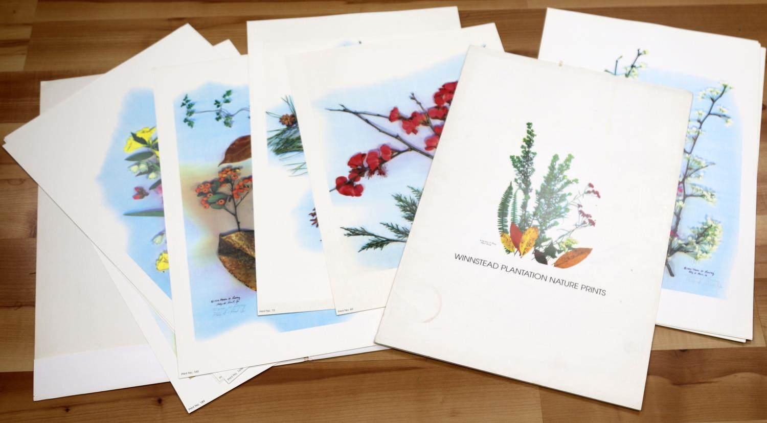 LOT OF 16 WINNSTEAD PLANTATION NATURE PRINTS