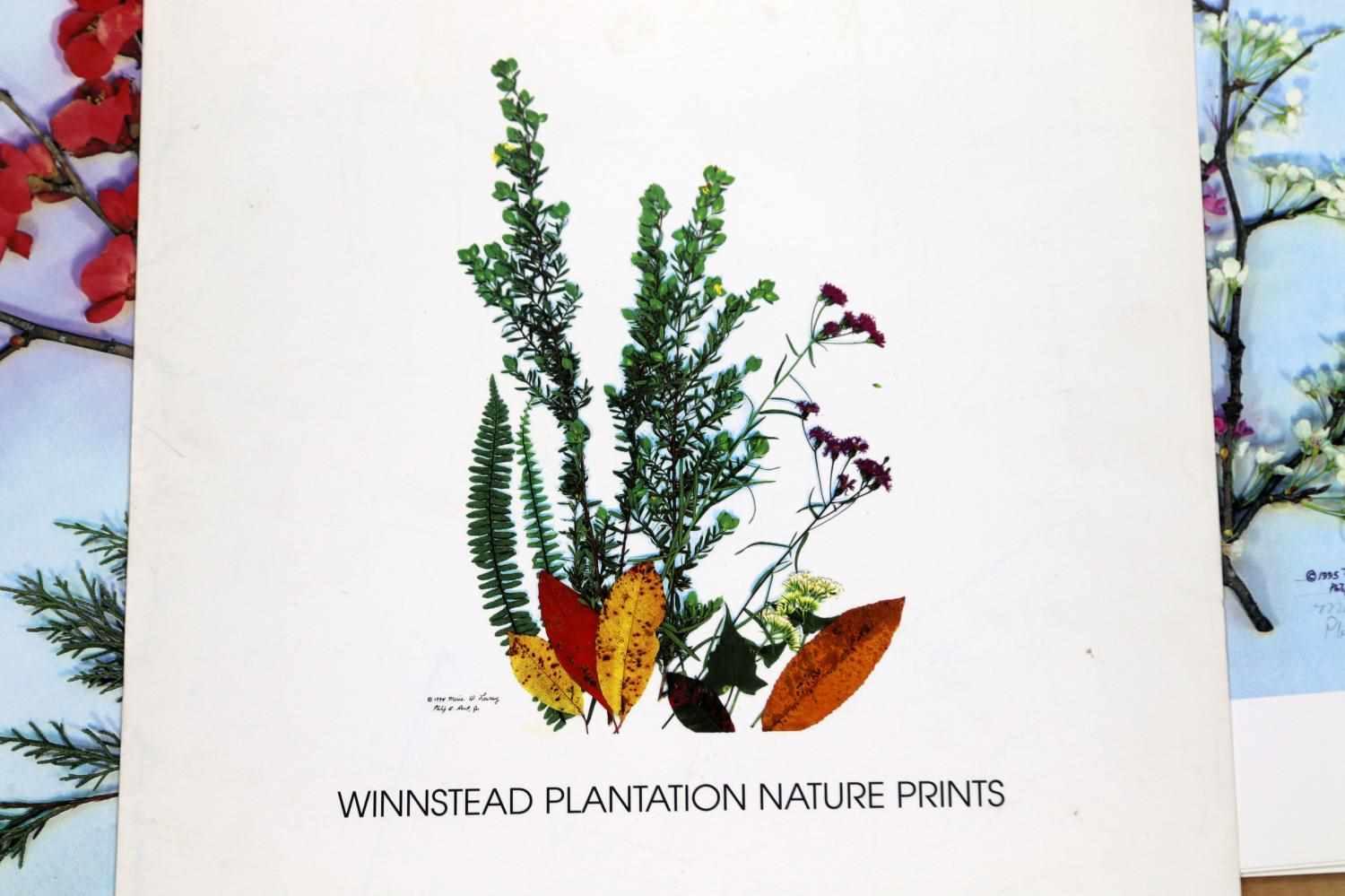 LOT OF 16 WINNSTEAD PLANTATION NATURE PRINTS