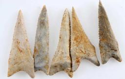 LOT OF 5 ILLINOIS FOUND DALTON POINTS ARROWHEADS