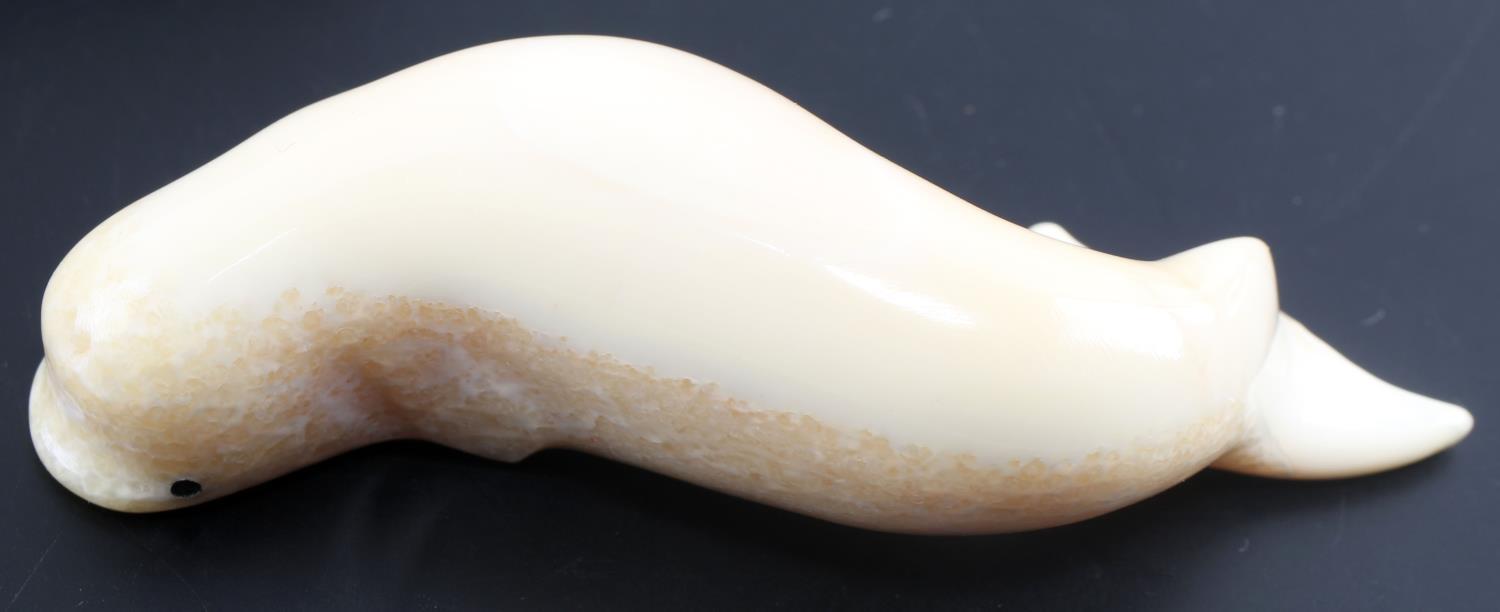 SMALL ALASKA WALRUS TUSK CARVED BELUGA WHALE