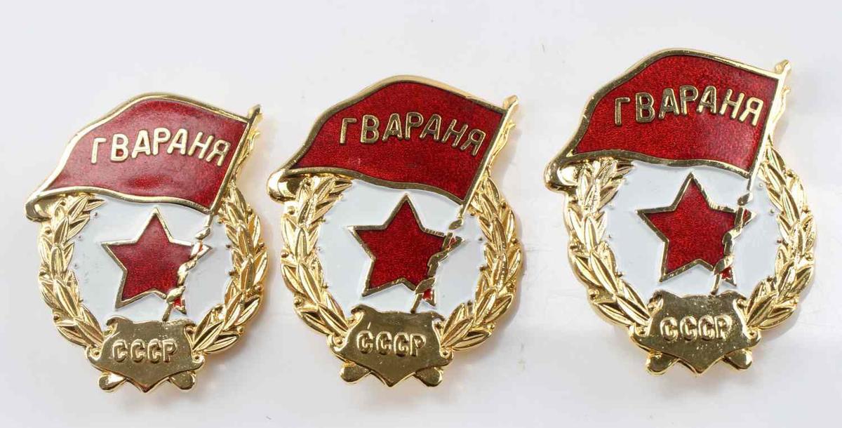USSR COLD WAR ERA MILITARY CCCP RBAPAHR BADGE LOT