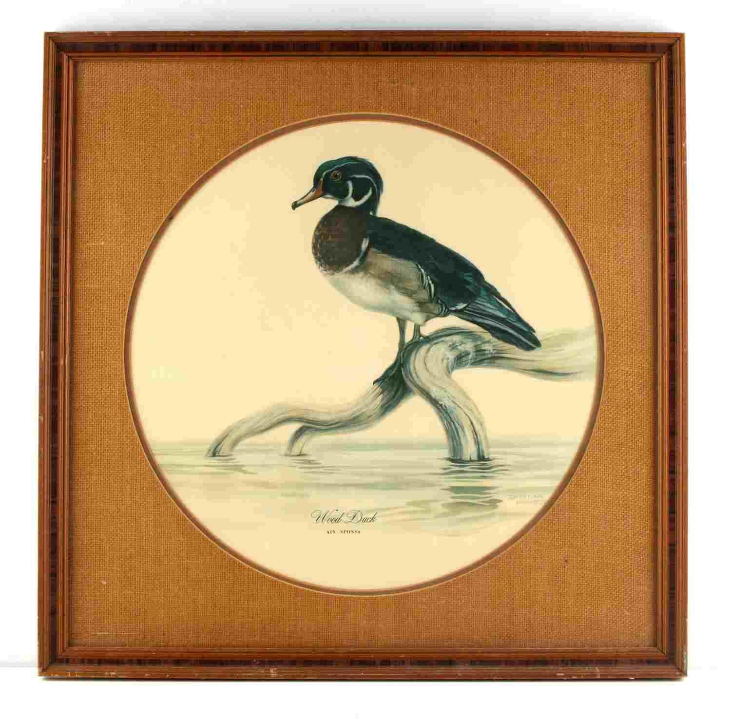 VINTAGE DIETMAR KRUMREY WOOD DUCK PRINT