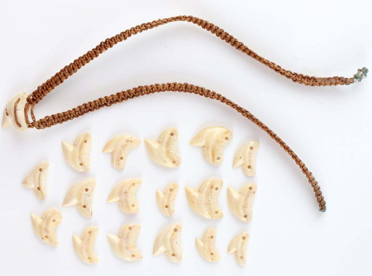 17 HOLED FOR PENDANT SHARK TEETH & 1 NECKLACE