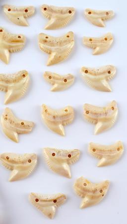 17 HOLED FOR PENDANT SHARK TEETH & 1 NECKLACE