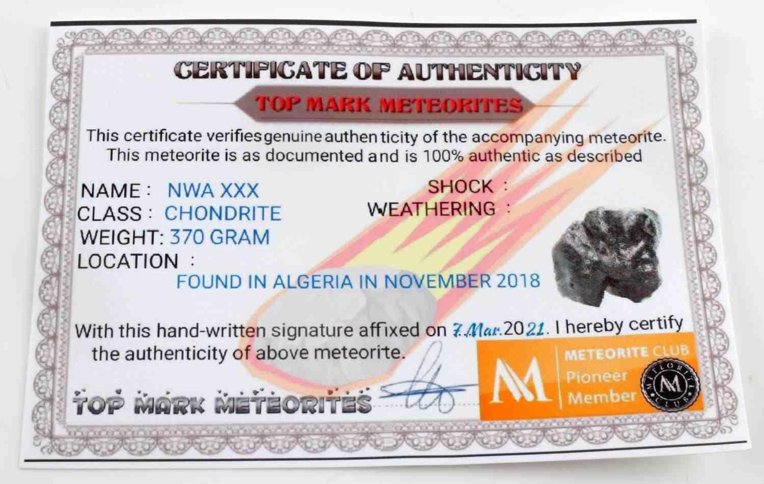 2018 ALGERIA FOUND CHONDRITE METEORITE WITH COA