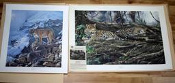 2 ALAN HUNT COUGAR LEOPARD WILDLIFE SIGNED PRINTS