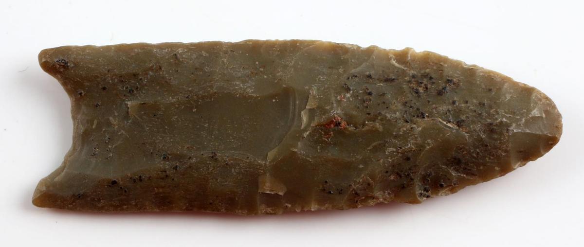 NATIVE AMERICAN FLUTED CLOVIS CHERT ARROWHEAD