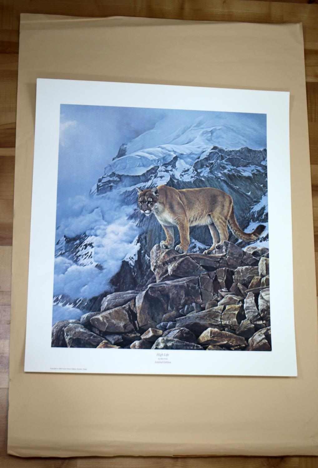 2 ALAN HUNT COUGAR LEOPARD WILDLIFE SIGNED PRINTS