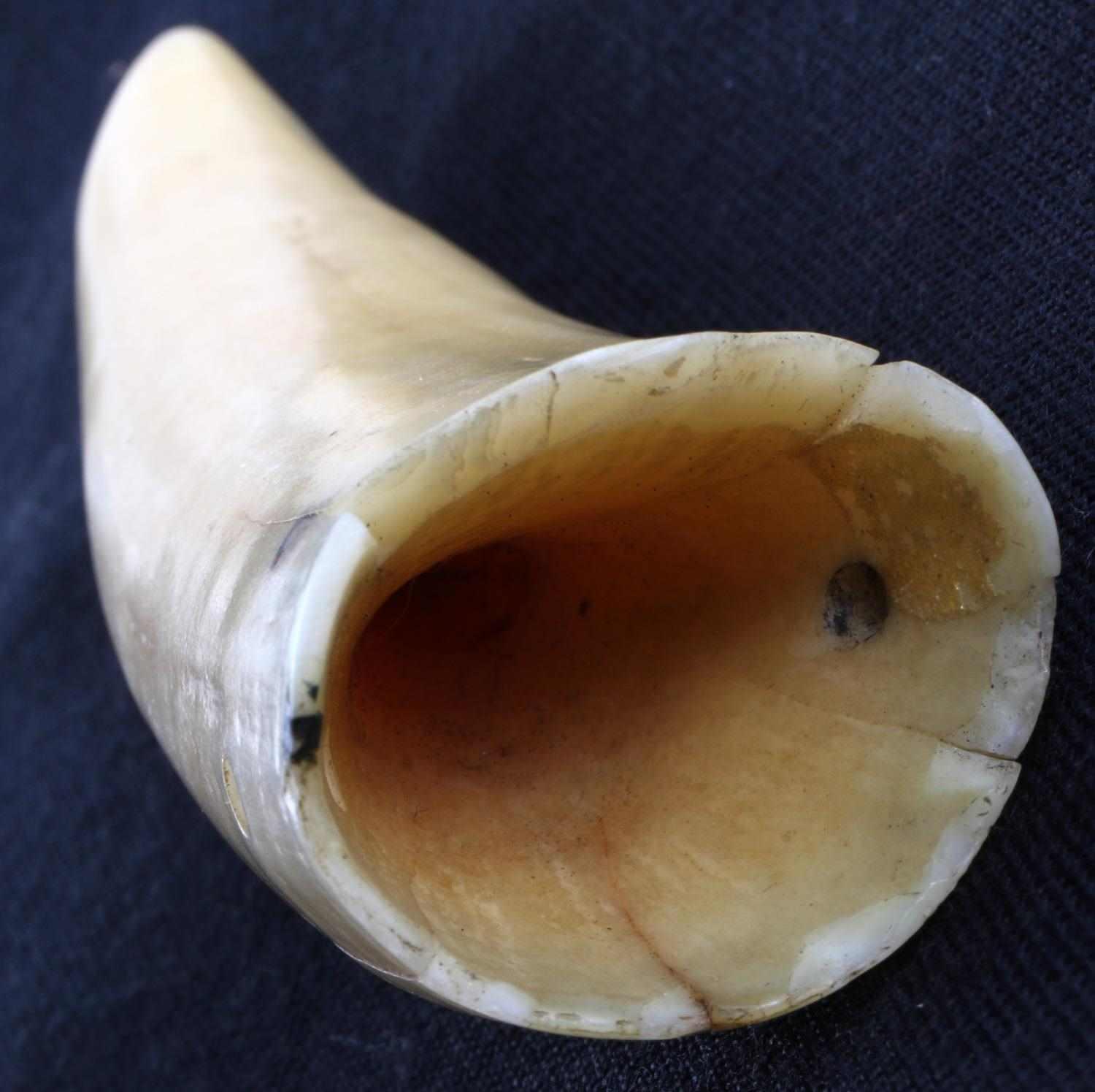 DRILLED ORCA KILLER WHALE TOOTH PENDANT