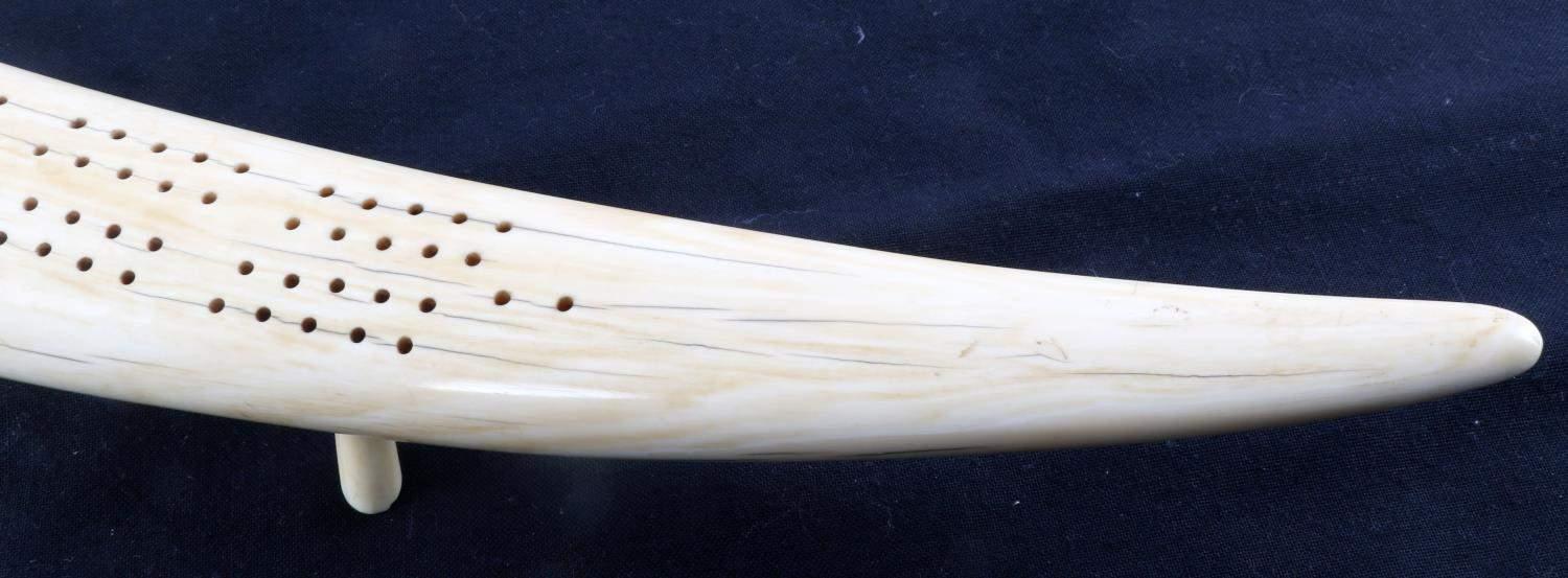 ANTIQUE WALRUS TUSK 19TH CENTURY CRIBBAGE BOARD