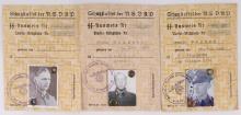 LOT OF 3 WWII GERMAN AUSWEIS IDENTIFICATION CARDS