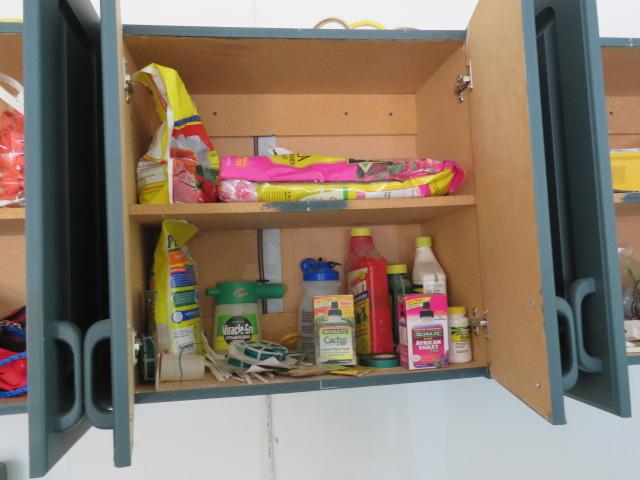 CONTENTS OF CABINET IN GARAGE- CONTENTS ONLY