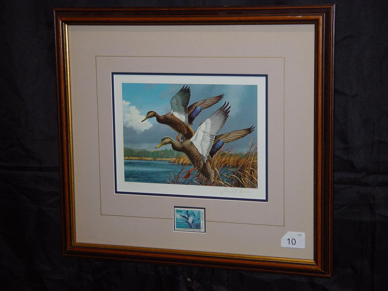 Framed and matted 1984 Ducks Unlimited Maine Black Ducks stamp signed by David Maass 18x16