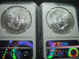 Two 2015 White Sox Labelled NGC Gem Uncirculated Silver Eagle