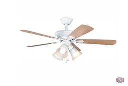 Hampton Bay Ceiling Fans