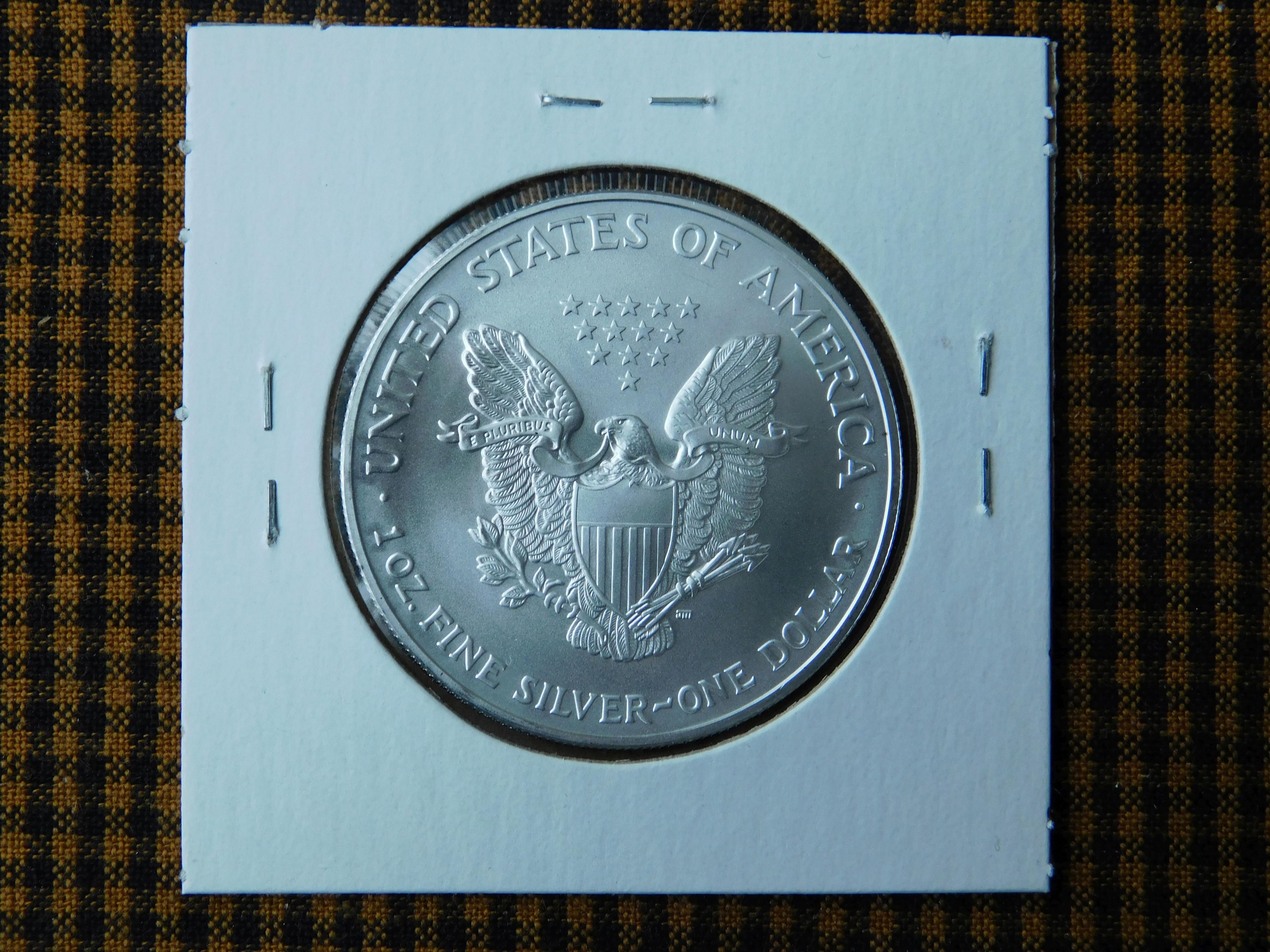 2003 SILVER EAGLE BU