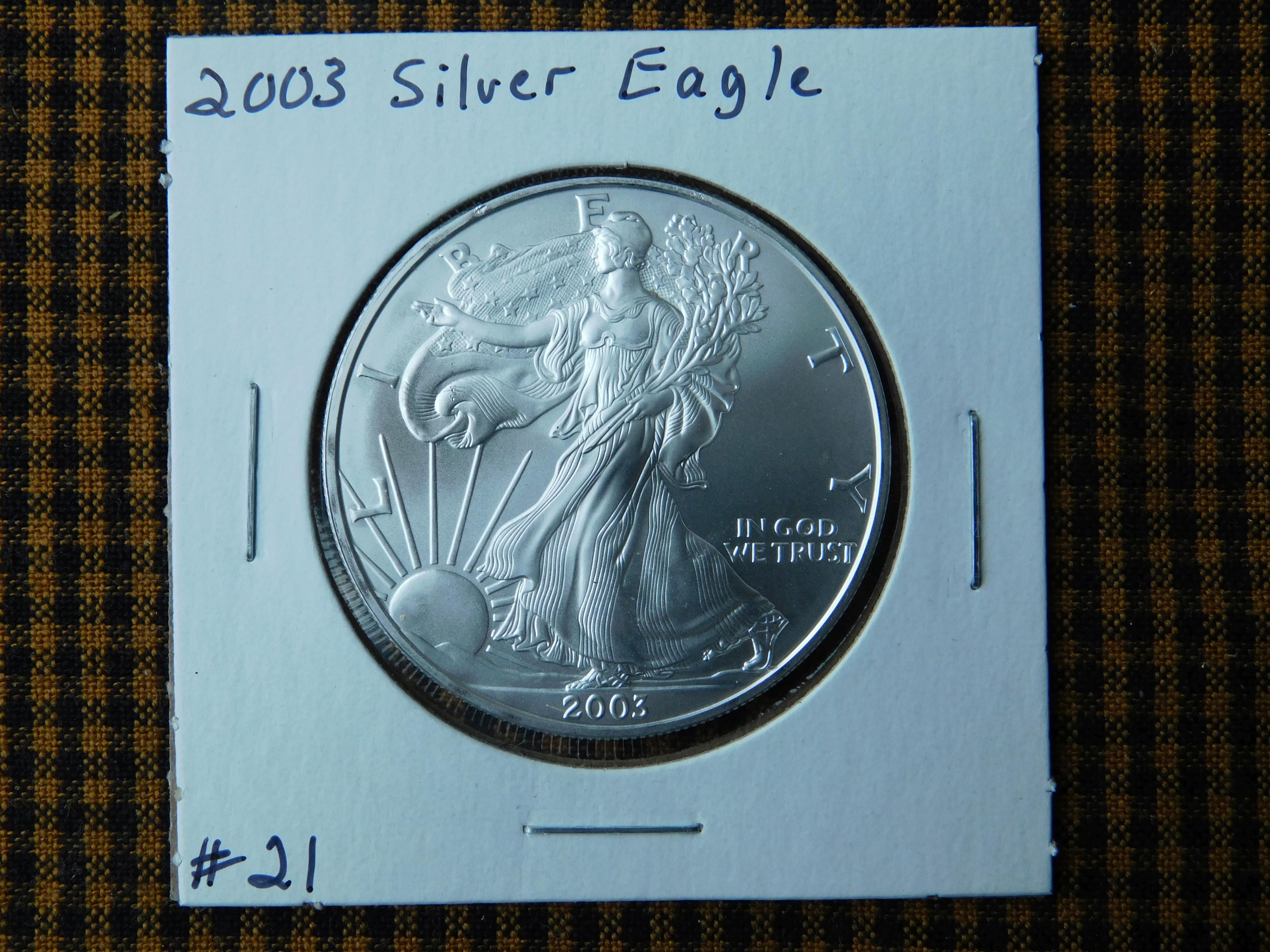 2003 SILVER EAGLE BU