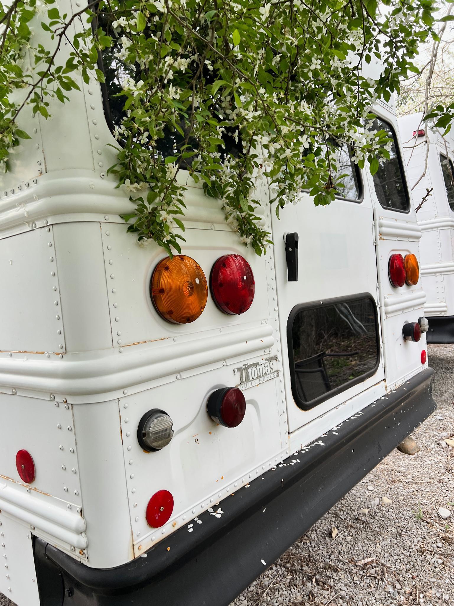 1996 International 3600 Vista Bus, VIN # 1hvbdaan0th309030