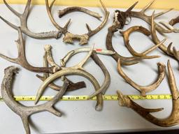 HUGE lot of assorted antlers, some have been cut or broke, see all pics