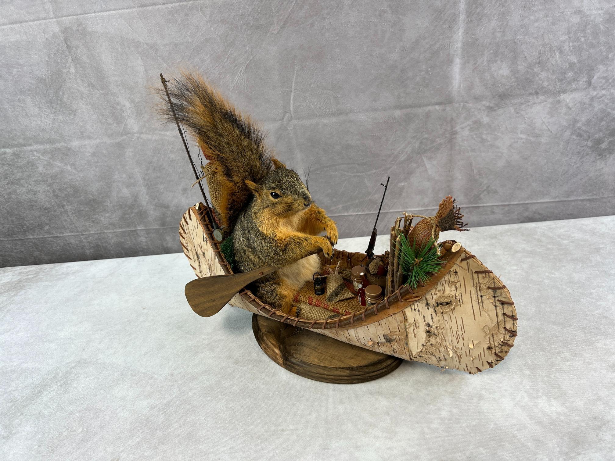 Stunning Brand New Fox Squirrel/ Birch Bark Canoe/ Wilderness Supplies