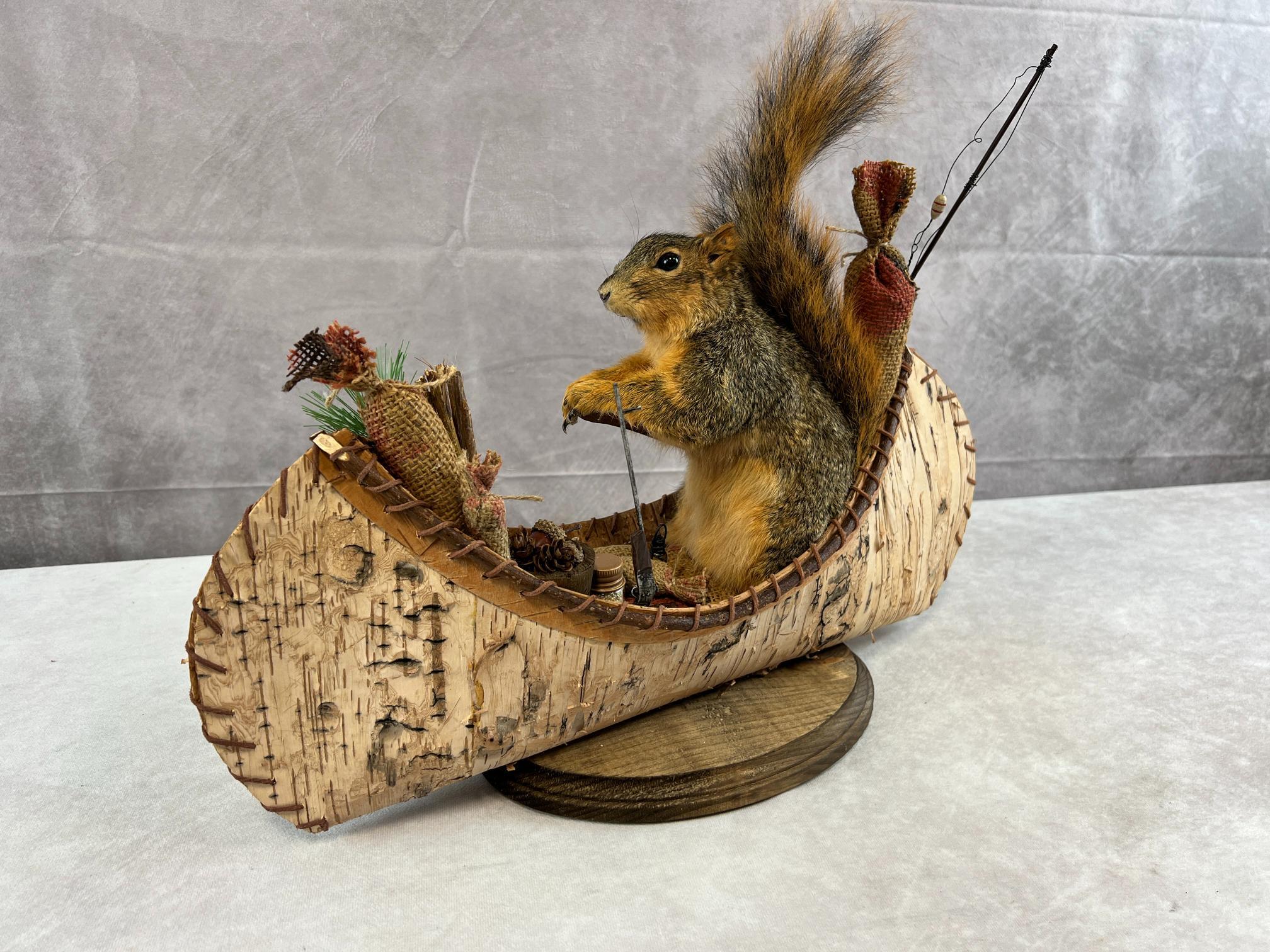 Stunning Brand New Fox Squirrel/ Birch Bark Canoe/ Wilderness Supplies