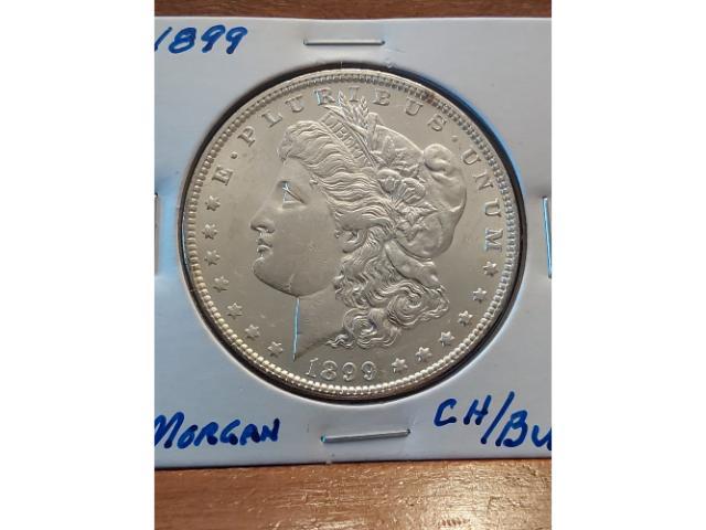 1899 MORGAN DOLLAR CHOICE BU