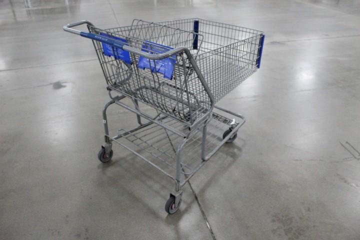 Shopping Carts. 31x44x41"