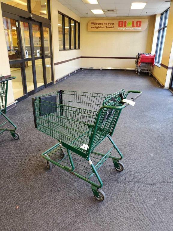 Assorted Shopping Carts