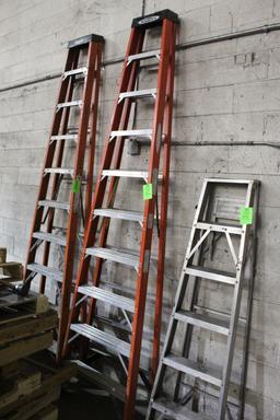 Werner 9' A-Frame Ladder