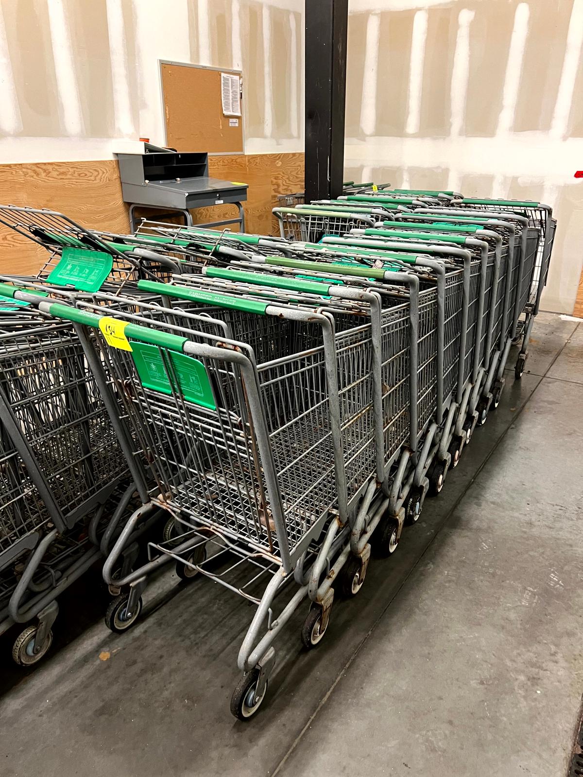 Standard Size Shopping Carts