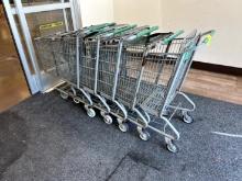 Standard Size Shopping Carts