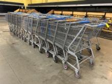 Full-Size Shopping Carts