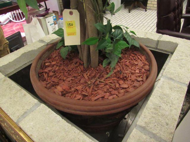 silk ficus tree in pot  54" h