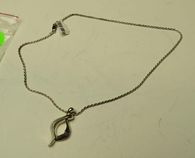 Sterling pendant on 16" sterling chain 10.8 gm