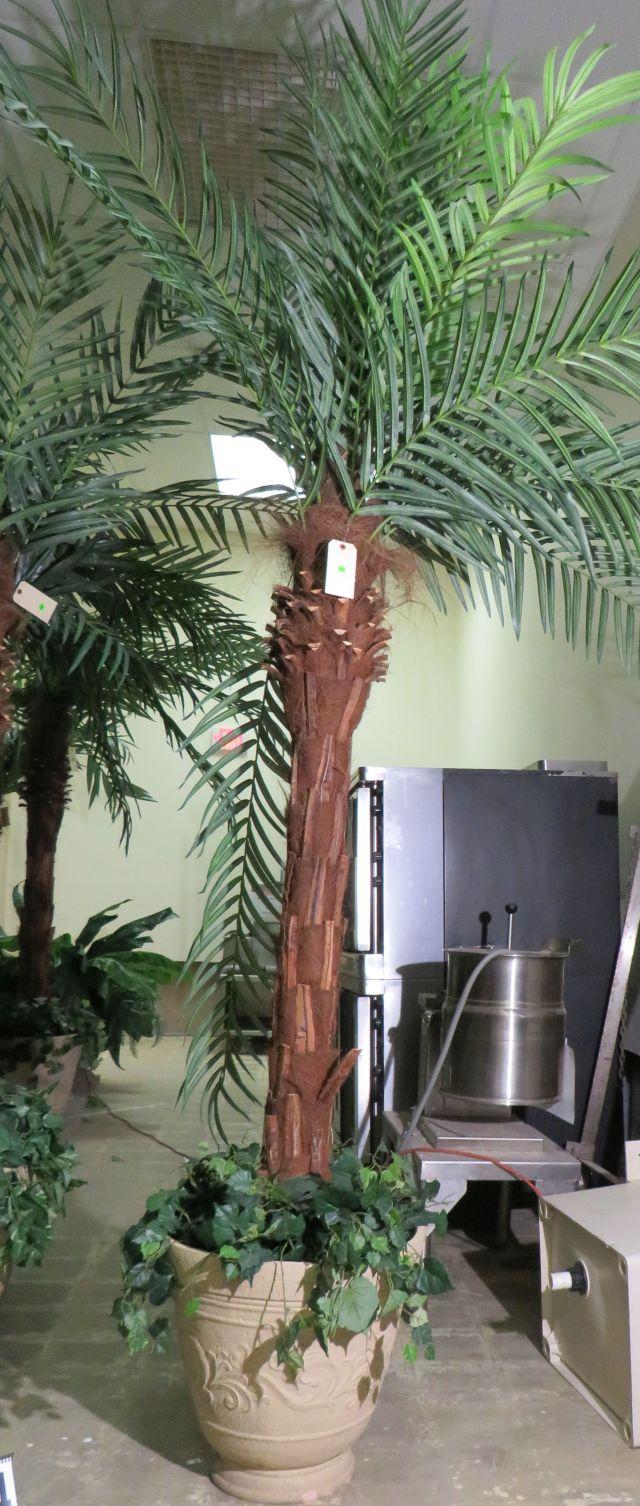 10' Palm Tree in White Planter