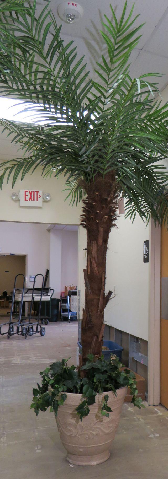 9' Palm in White Planter