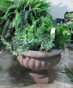 2' Fern in Brown Urn