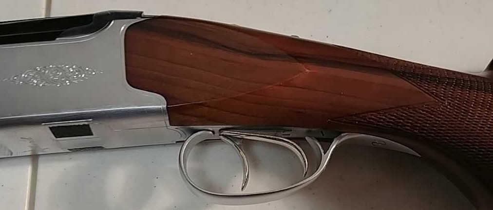 CZ Mallard 12 GA 28"