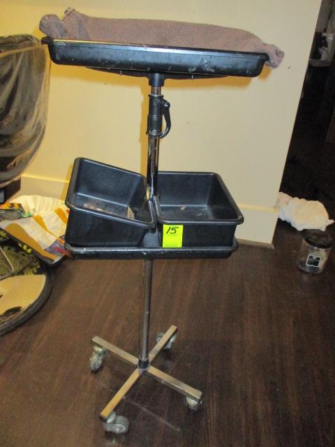 PORTABLE INSTRUMENT/TRAY HOLDER ON CASTERS