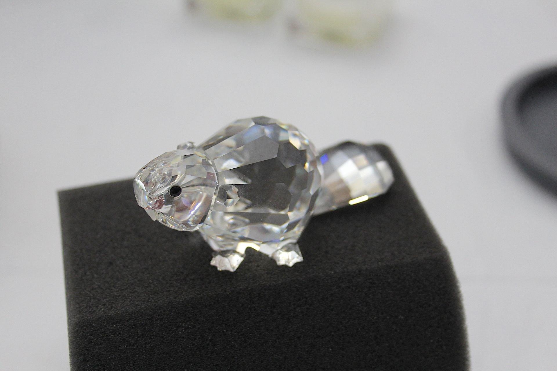 SWAROVSKI  BEAVER