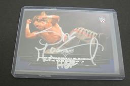 Shaun Michaels autograph card coa  Wrestler