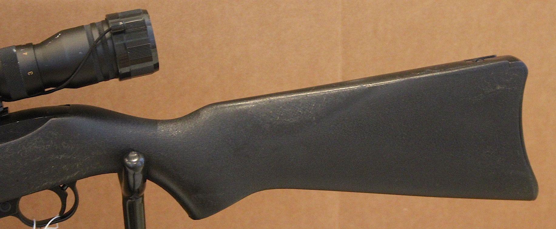 Model 10/22 Carbine - .22 cal.