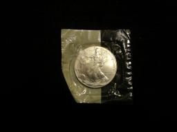 1999 Silver Eagle Uncirculated sealed - 1 oz Silver .999